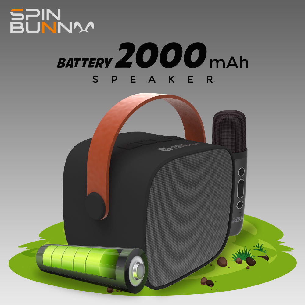 Spin Bunny Karaoke Portable Speaker