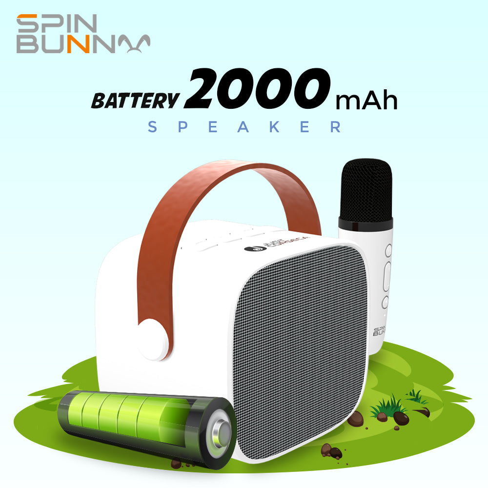 Spin Bunny Karaoke Portable Speaker